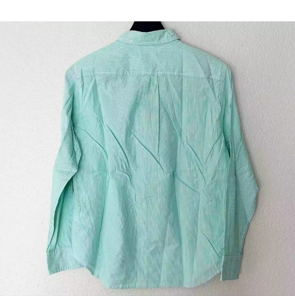 Everlane Women’s 2 The Silky Cotton Relaxed Shirt Green White Pinstriped New - Picture 2 of 3